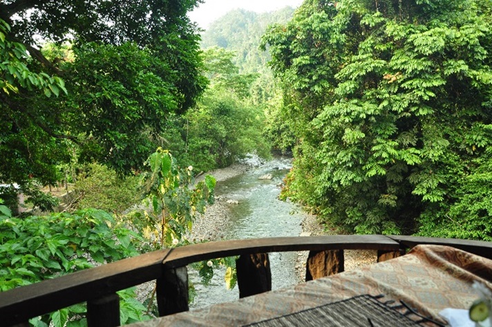 Tangkahan Surga Tersembunyi Sumatera Utara