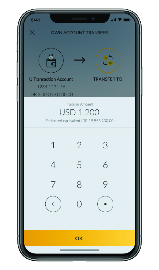 How To Transact Foreign Currency