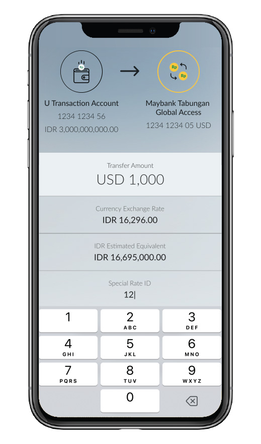 How To Transact Foreign Currency